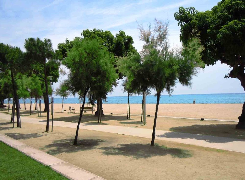 Camping Bellsol Pineda de Mar Eksteriør billede
